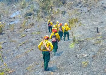 Monitorean y combaten 12 incendios forestales en Petén