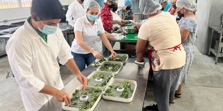 Mujeres aprenden técnicas de deshidratación de alimentos