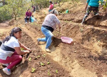Mujeres de Sacatepéquez se capacitan en técnicas de trasplante de hortalizas