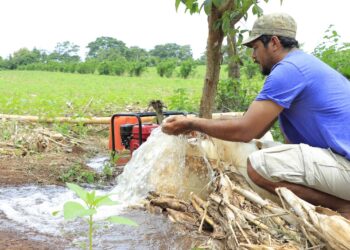 Política Nacional de Riego 2024-2033 cuenta con principios claves que la orientan
