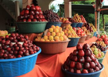 Producción de frutas en el país impulsa la generación de empleo y beneficios para la salud
