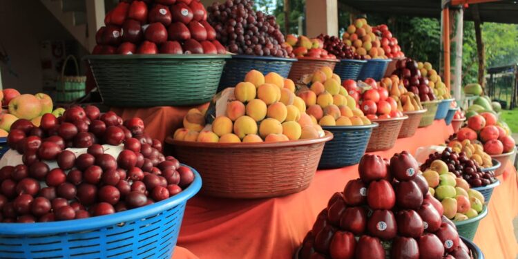 Producción de frutas en el país impulsa la generación de empleo y beneficios para la salud