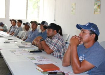 Productores de ganado bovino de Petén son capacitados en buenas prácticas