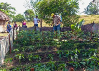 Productores peteneros aprenden la fertilización foliar y el control de plagas