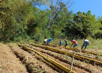 Promueven huertos pedagógicos en La Unión, Zacapa
