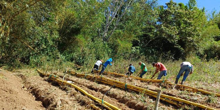 Promueven huertos pedagógicos en La Unión, Zacapa