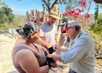 Promueven prácticas saludables en la avicultura familiar en Chiquimula