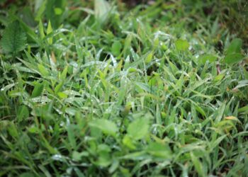 Recomendaciones por clima en abril