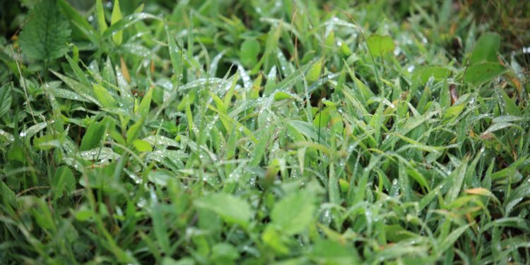 Recomendaciones por clima en abril