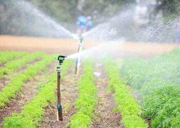 Riego por aspersión, el sistema versátil para hidratar los cultivos