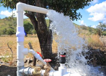 Sistemas de riego en el país son fundamentales en la agricultura