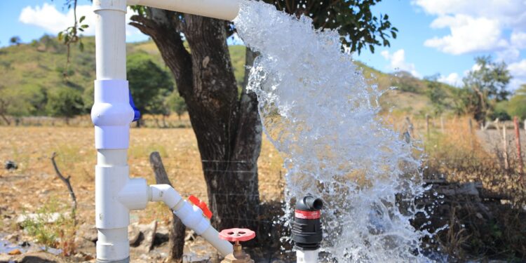 Sistemas de riego en el país son fundamentales en la agricultura