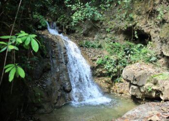 La falta de acceso a sistemas de riego impacta en la agricultura y el desarrollo rural