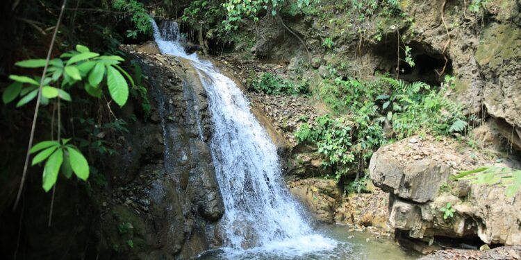 La falta de acceso a sistemas de riego impacta en la agricultura y el desarrollo rural