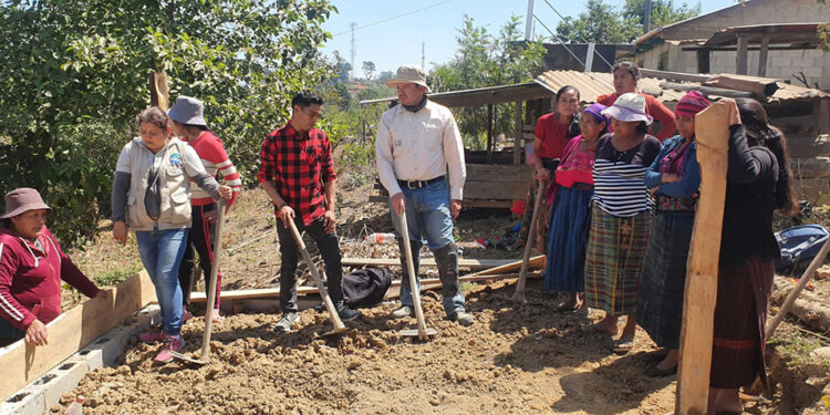 Familias de Santa Bárbara fortalecen patrimonio avícola