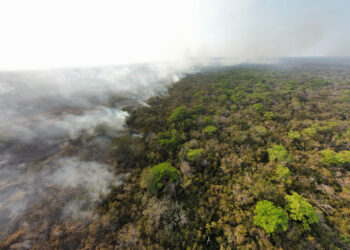 Nueve incendios forestales activos son atendidos en Petén