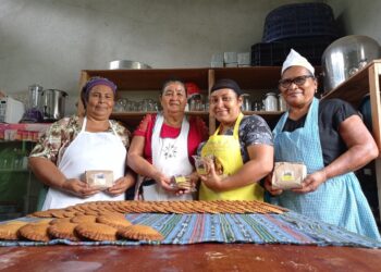 Nuez maya: nueva alternativa comercial y nutricional en Petén