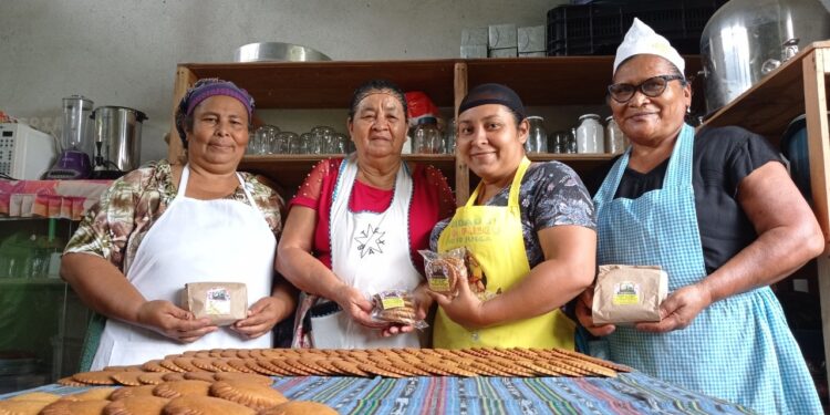 Nuez maya: nueva alternativa comercial y nutricional en Petén