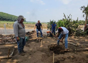 Palo Gordo apuesta por la producción de árboles frutales y forestales