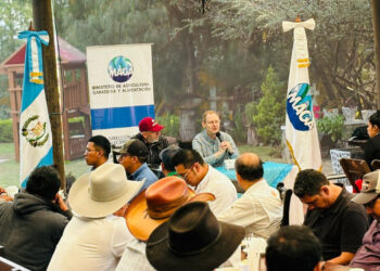 Actividad formativa beneficia a organizaciones productoras de aguacate Hass
