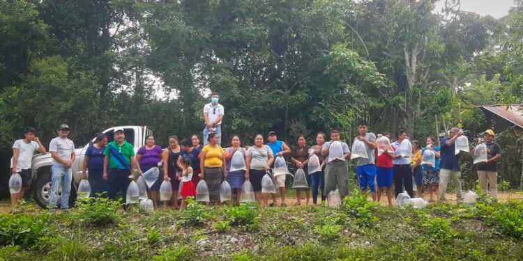 Apoyan producción acuícola en Petén