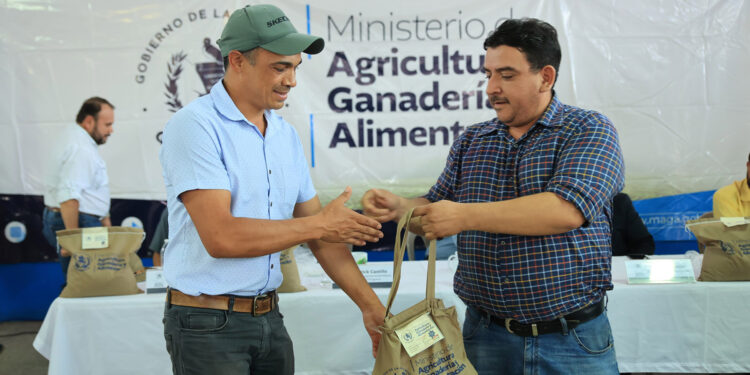 Caficultores reciben semillas resistentes a la roya