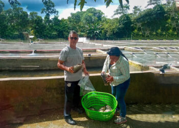 Capacitaciones sobre acuicultura en Petén buscan fortalecer la red de productores y productoras