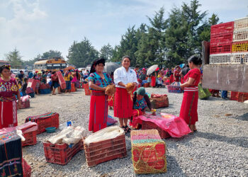 Impulsan fortalecimiento de la seguridad alimentaria y desarrollo rural en Quiché