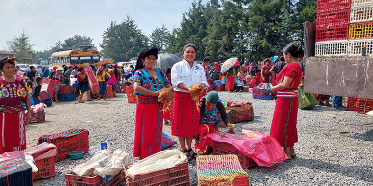 Impulsan fortalecimiento de la seguridad alimentaria y desarrollo rural en Quiché