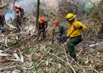 Combatientes de incendios forestales, guardianes de la biodiversidad