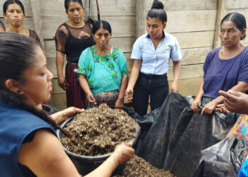 Comunidades de Alta Verapaz aprenden a fabricar abono orgánico