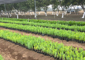 Conozca el Vivero Agroforestal La Alameda