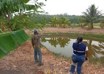 Construcción de estanques rústicos beneficia a comunidad Ixconop en Petén