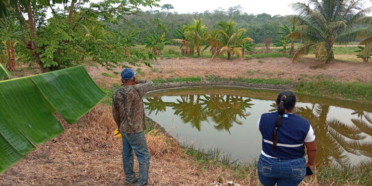 Construcción de estanques rústicos beneficia a comunidad Ixconop en Petén