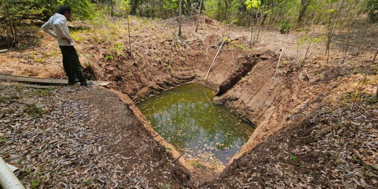 Cultivo de caracol de agua dulce una oportunidad de desarrollo económico para las comunidades
