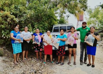 Cultivo de tilapia permite autosuficiencia alimentaria