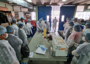 Desarrollan taller para detección de rabia bovina