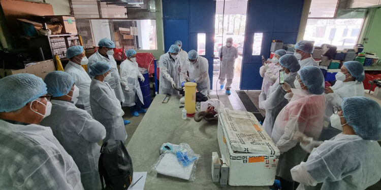 Desarrollan taller para detección de rabia bovina