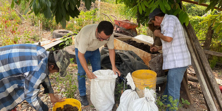 Ejecutan prácticas de sostenibilidad en Petén que contribuyen a la agricultura