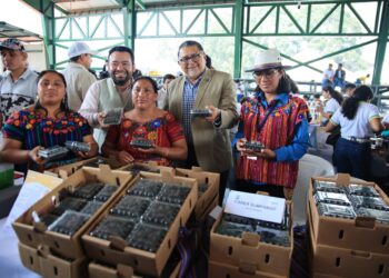 Emprendimientos generan cadenas inclusivas a productores de mora y fresa