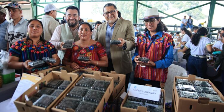Emprendimientos generan cadenas inclusivas a productores de mora y fresa