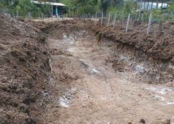 Enseñan a construir estanques para cultivo de tilapia