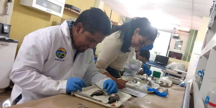 Estudios y uso de tecnología benefician a pescadores y ecosistema del lago de Atitlán