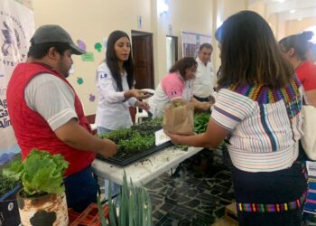 Ferias de Alimentación promueven hábitos saludables