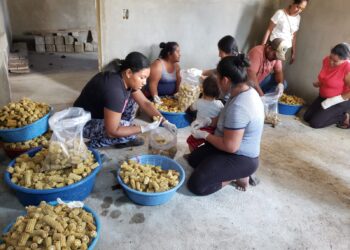 Fomentando nuevos y emprendimientos en Santa Ana Huista