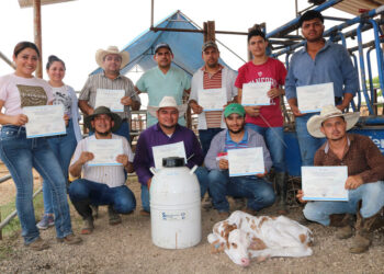 Formación sobre reproducción bovina optimiza capacidades de producción en Petén