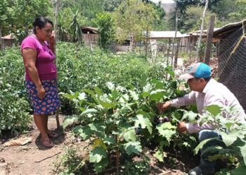Huertos Familiares promueven el desarrollo en Petén