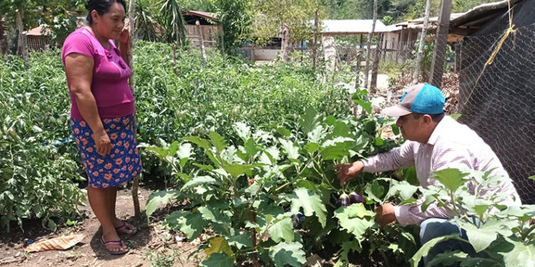Huertos Familiares promueven el desarrollo en Petén