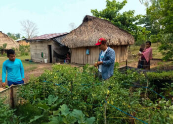 Implementan control de plagas en huertos