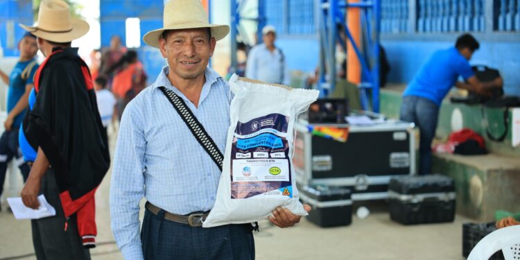 Impulsan la seguridad alimentaria con semillas mejoradas